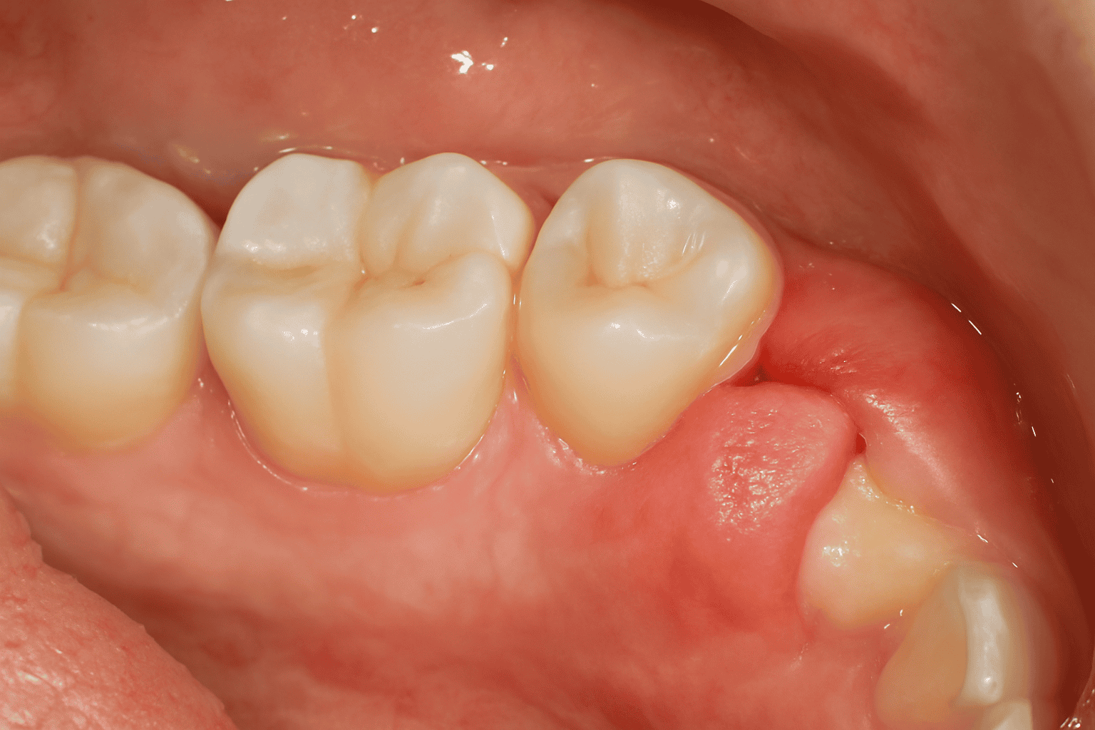 chatgpt image 22 tem 2025 18 44 11