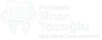 cropped sinan tozoglu logo 4k font25 enlarged centered.webp