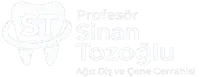 cropped sinan tozoglu logo 4k font25 enlarged centered.webp